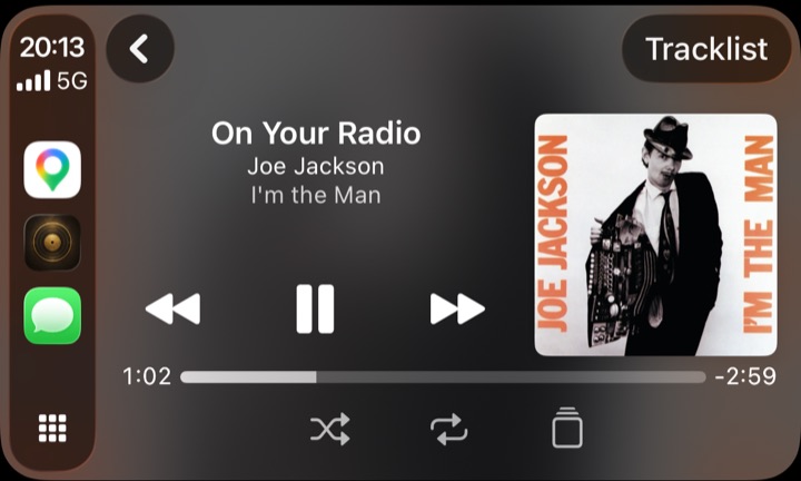 Playing in the car.